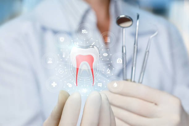 Professional Dental Services in Crest Hill, IL